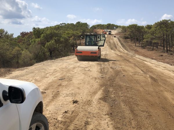Cost of Driveway Grading in Anacortes