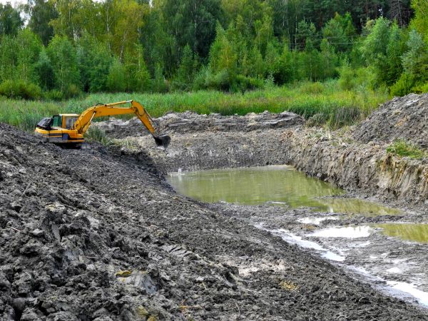 Cost of Fish Pond Digging in Anacortes