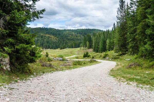 Cost of Gravel Road Grading in Anacortes