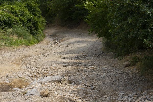 Cost of Gravel Road Pothole Repair in Anacortes