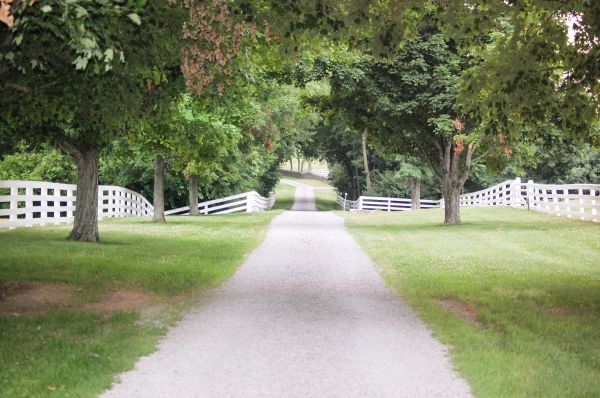 Gravel Driveway Construction in Anacortes