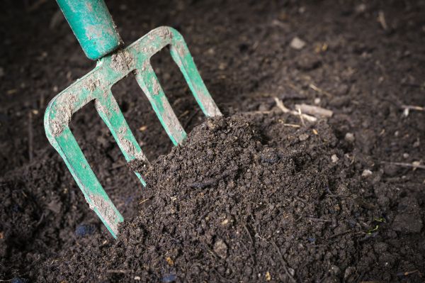 Cost of Topsoil Spreading in Anacortes