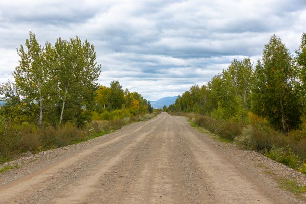 Dirt Road Repair in Anacortes