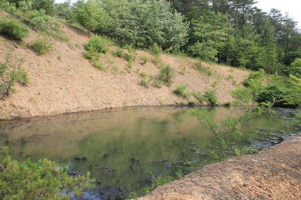 Cost of Pond Erosion Repair in Anacortes