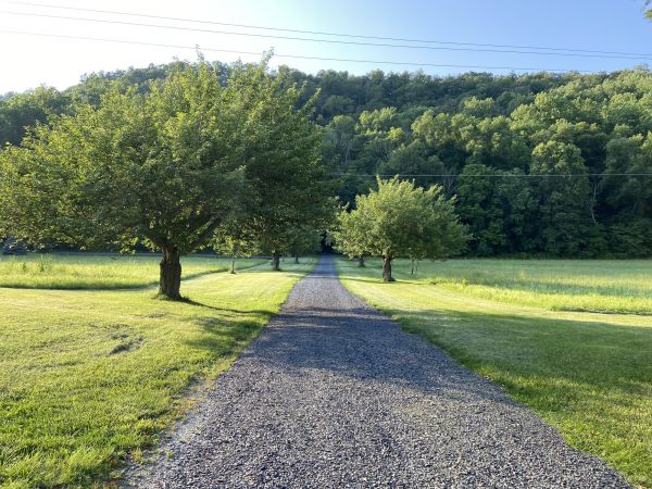 Cost of Gravel Road Construction in Anacortes