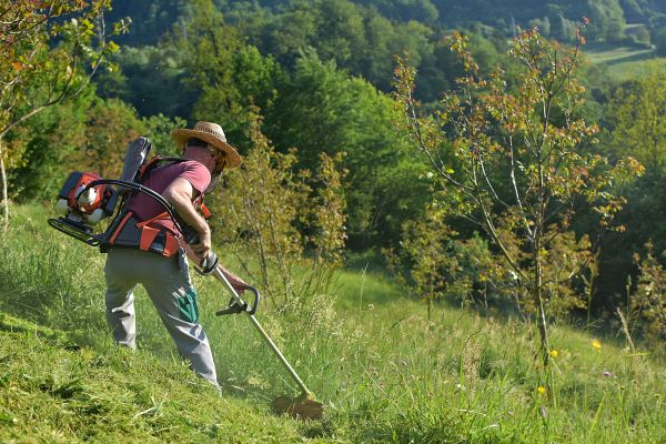 Cost of Slope Trimming in Anacortes