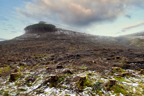 Cost of Hill Removal in Anacortes